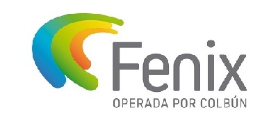 LOGO FENIX